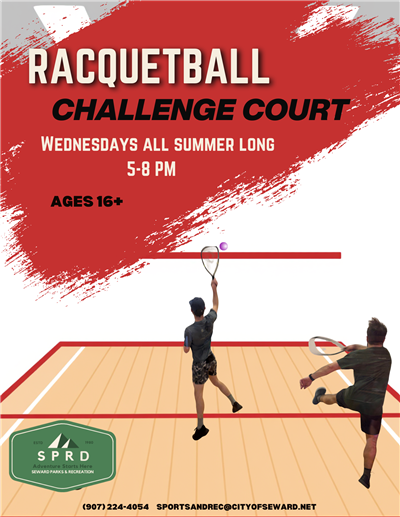 Racquetball Challenge 