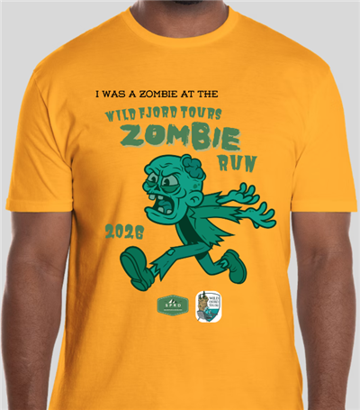 Volunteer Shirt